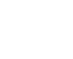Ambipom