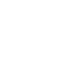 Wielie
