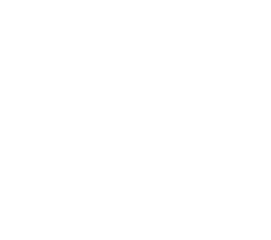 빼미스로우 (Ppaemiseurou)