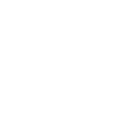 電擊獸 (Diànjīshòu)
