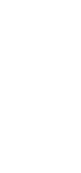Intelleon