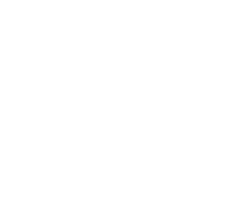 Lotad