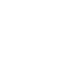 Mega-Absol
