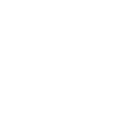 단데기 (Dandegi)