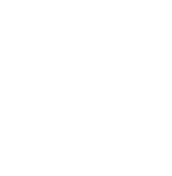 Spearow