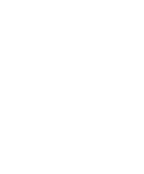 Type: Null