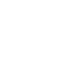 Zeraora