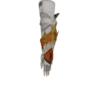 Aknosom Braces