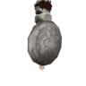 Avt-bras Bazelgeuse X