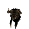 Bone Helm S