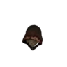 Cerveau putride S
