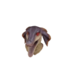 Maschera Jaggi
