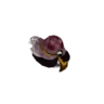 Jelly Hat S