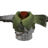 Cotta Pukei-Pukei