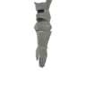 Parabraccia Rathian S