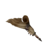 Duo Horn I