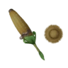 Mighty Cornpopper