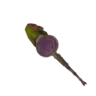 Poison Fungasax I
