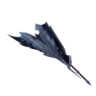 Reddnaught Dunat