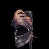Anja Helm β