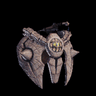Baan Coil α