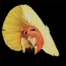 Flor de cosecha