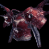 Cotte Hornetaur α +