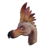 Kulu-Ya-Ku-Kopf α