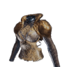 Ira de Kulve Taroth α
