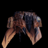 Rathalos Coil α +
