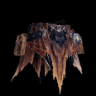 Rathalos Coil β +