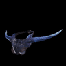 Tzitzi Headgear
