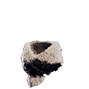 Écharpe Wulg α +