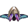 Empresswing I