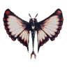 Gullshad II
