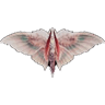 Pseudocath I