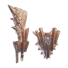 Barroth Club I