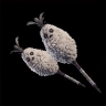 Downy Crake Brooms