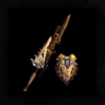 Glutton Gold Exploder