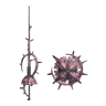 Royal Rose+
