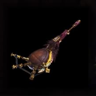 Taroth Pipe "Rage"